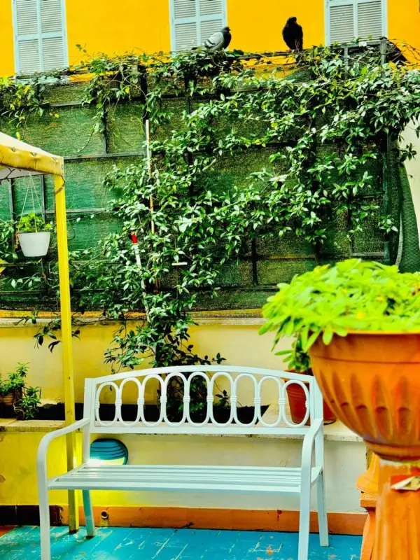Toffa Place In Rome 4