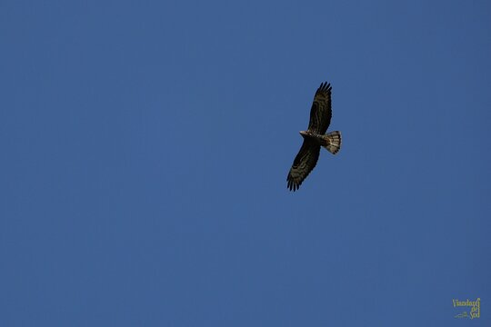 Tour image 11